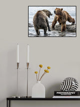 Contrariness Poster och Canvastavla