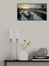 Paddy fields forever Poster och Canvastavla
