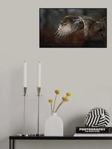 Poster och Canvastavla