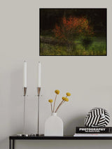 Fall is here Poster och Canvastavla