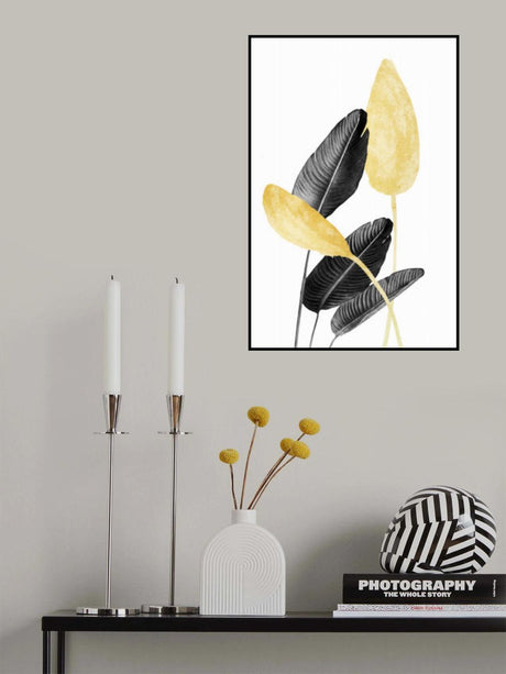 Bird of Paradise Plant Black, White and Gold 02 Poster och Canvastavla
