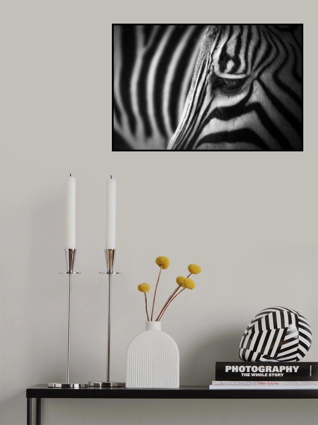 Zebra Poster och Canvastavla
