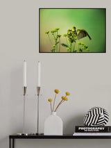 Nectar Addict Poster och Canvastavla