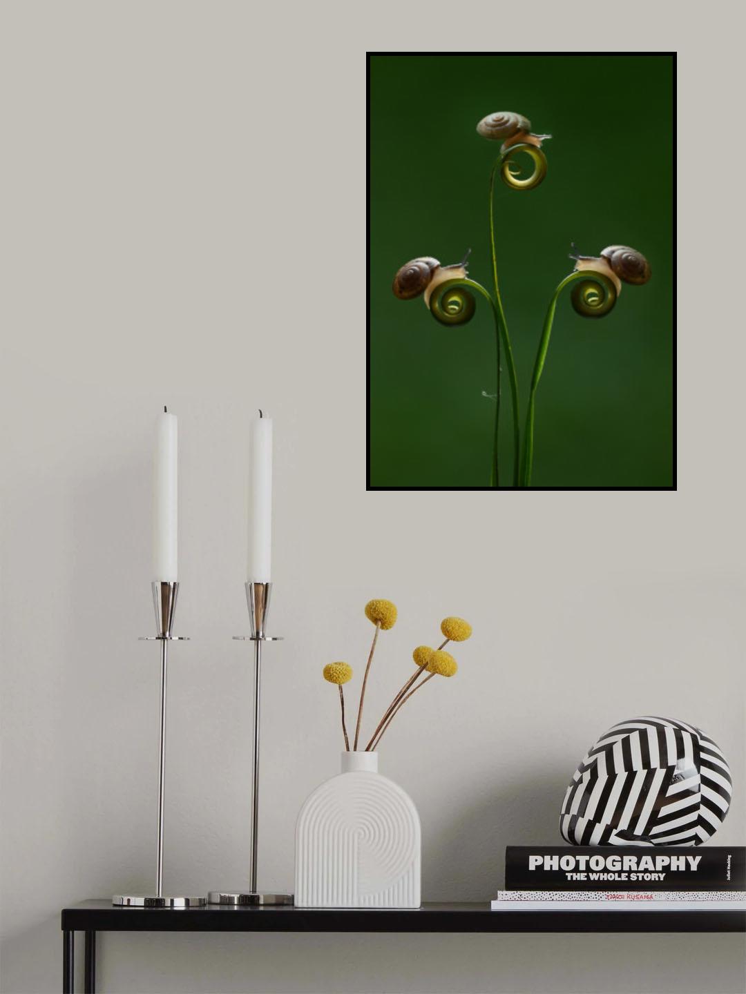 Three little snails Poster och Canvastavla