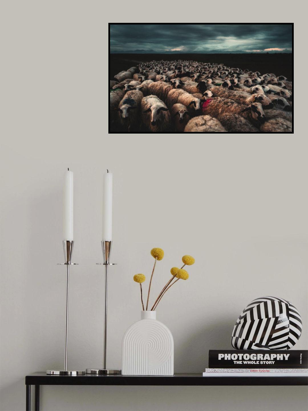 Flock at sunset Poster och Canvastavla