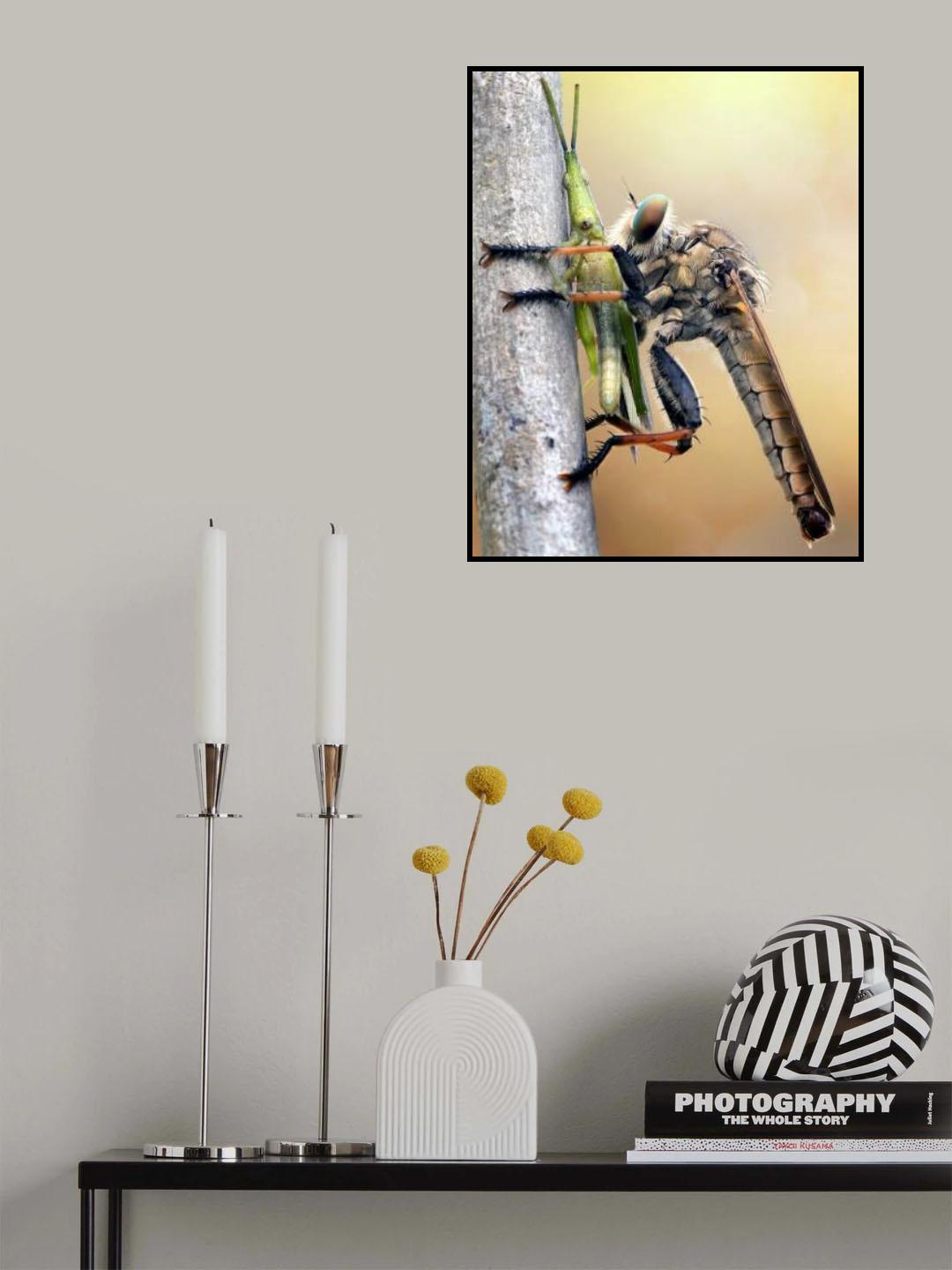 Insect Predator Poster och Canvastavla