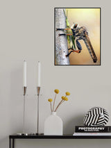 Insect Predator Poster och Canvastavla