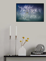 White dancer Poster och Canvastavla