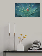 Prickly place Poster och Canvastavla
