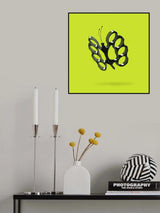 Sting like a Butterfly Poster och Canvastavla