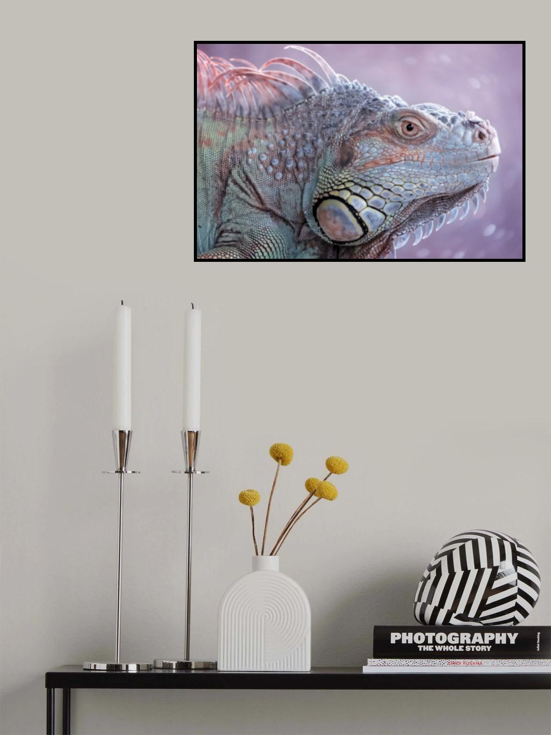 The Colors of Iguana Poster och Canvastavla