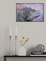 The Colors of Iguana Poster och Canvastavla