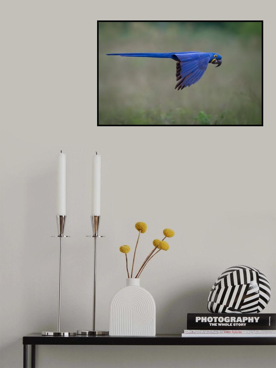 Suspended Poster och Canvastavla
