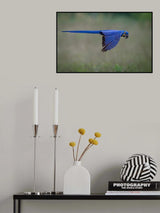 Suspended Poster och Canvastavla