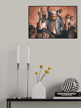 Feeding Monkeys Poster och Canvastavla