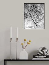 Pigeons in Flight Poster och Canvastavla