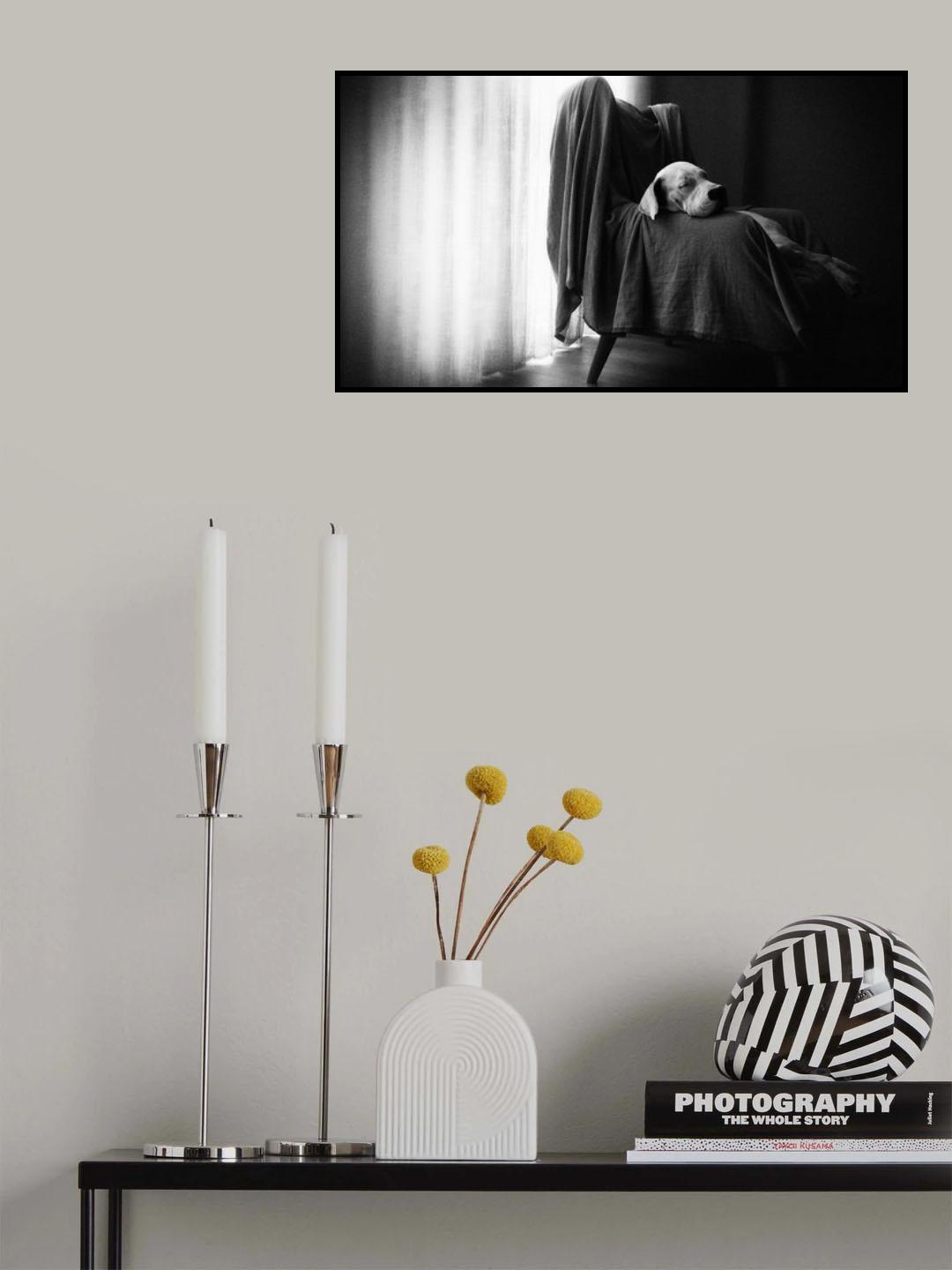 Poster och Canvastavla