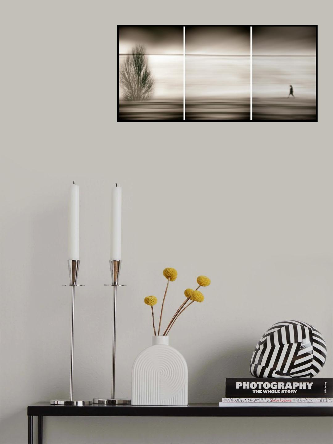 Seeking the invisible Poster och Canvastavla