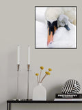 A Mother\'s Love Poster och Canvastavla