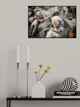 Little Mundari shepherd Poster och Canvastavla