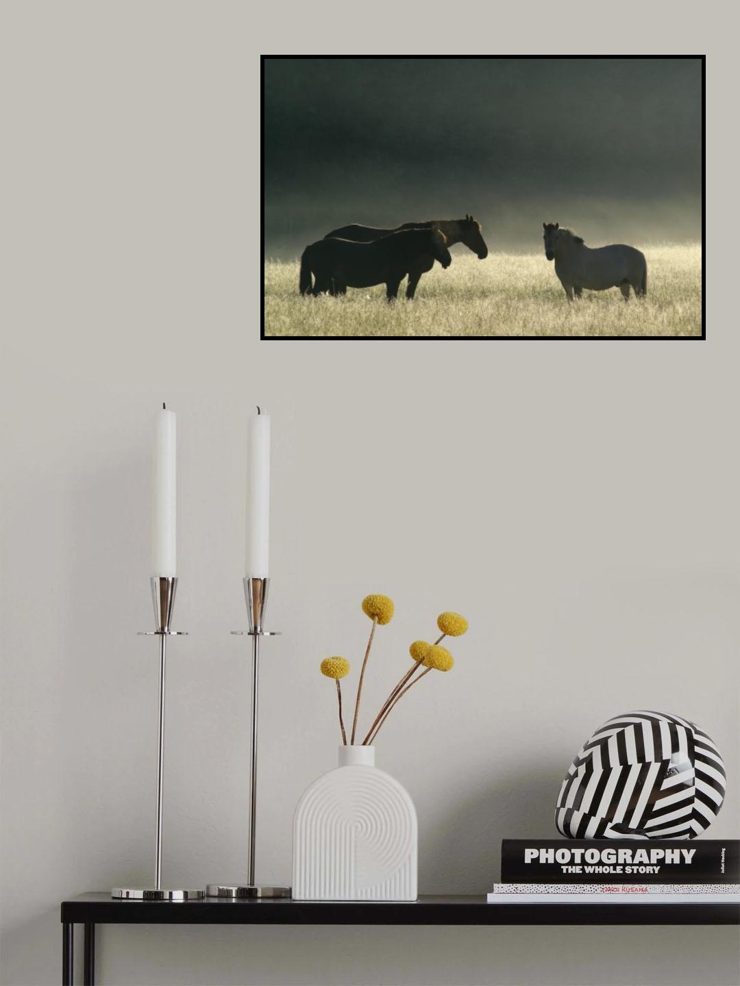 Misty morning. Poster och Canvastavla
