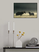 Misty morning. Poster och Canvastavla
