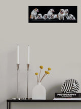 Meet Noortje and her offspring Poster och Canvastavla
