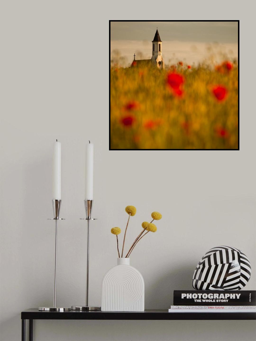 In the poppy fields Poster och Canvastavla