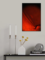 Under Cover Poster och Canvastavla