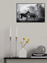 Playing in the dust... Poster och Canvastavla
