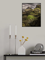 Tree In Quirange Poster och Canvastavla