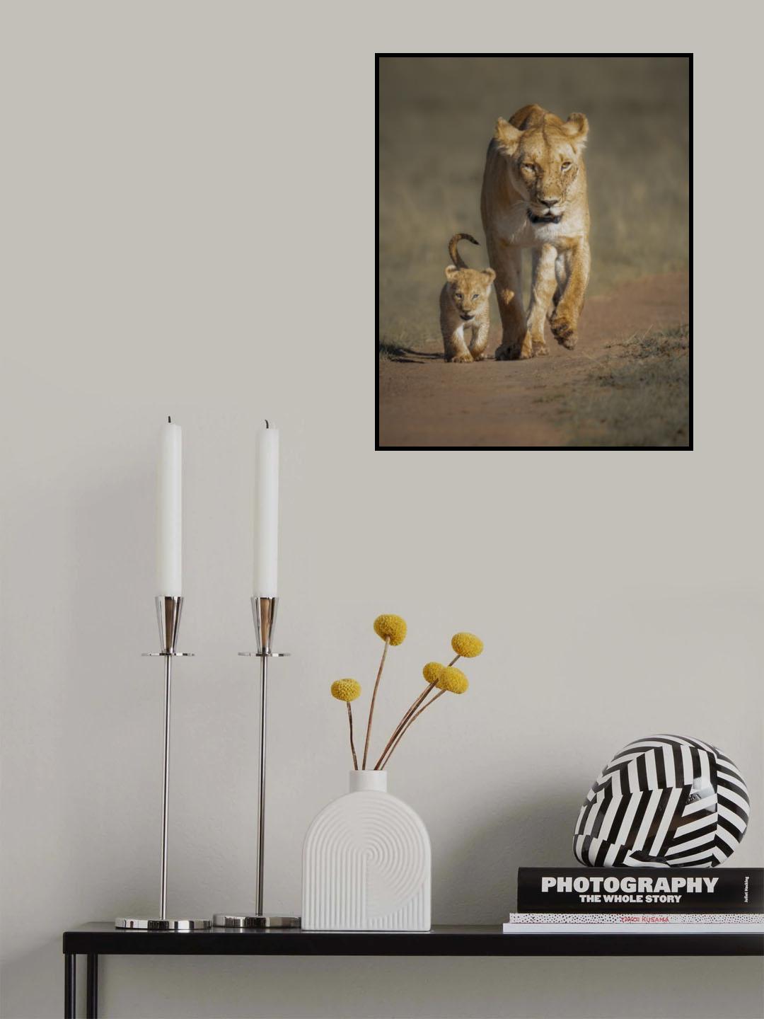 The whole universe Poster och Canvastavla