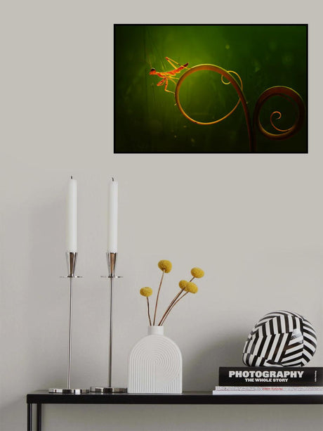 Baby Brown Mantish Poster och Canvastavla