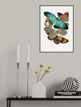 Butterflies 1 Poster och Canvastavla