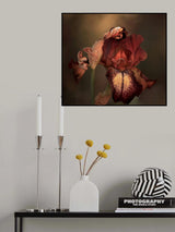 An Iris in Spring Poster och Canvastavla