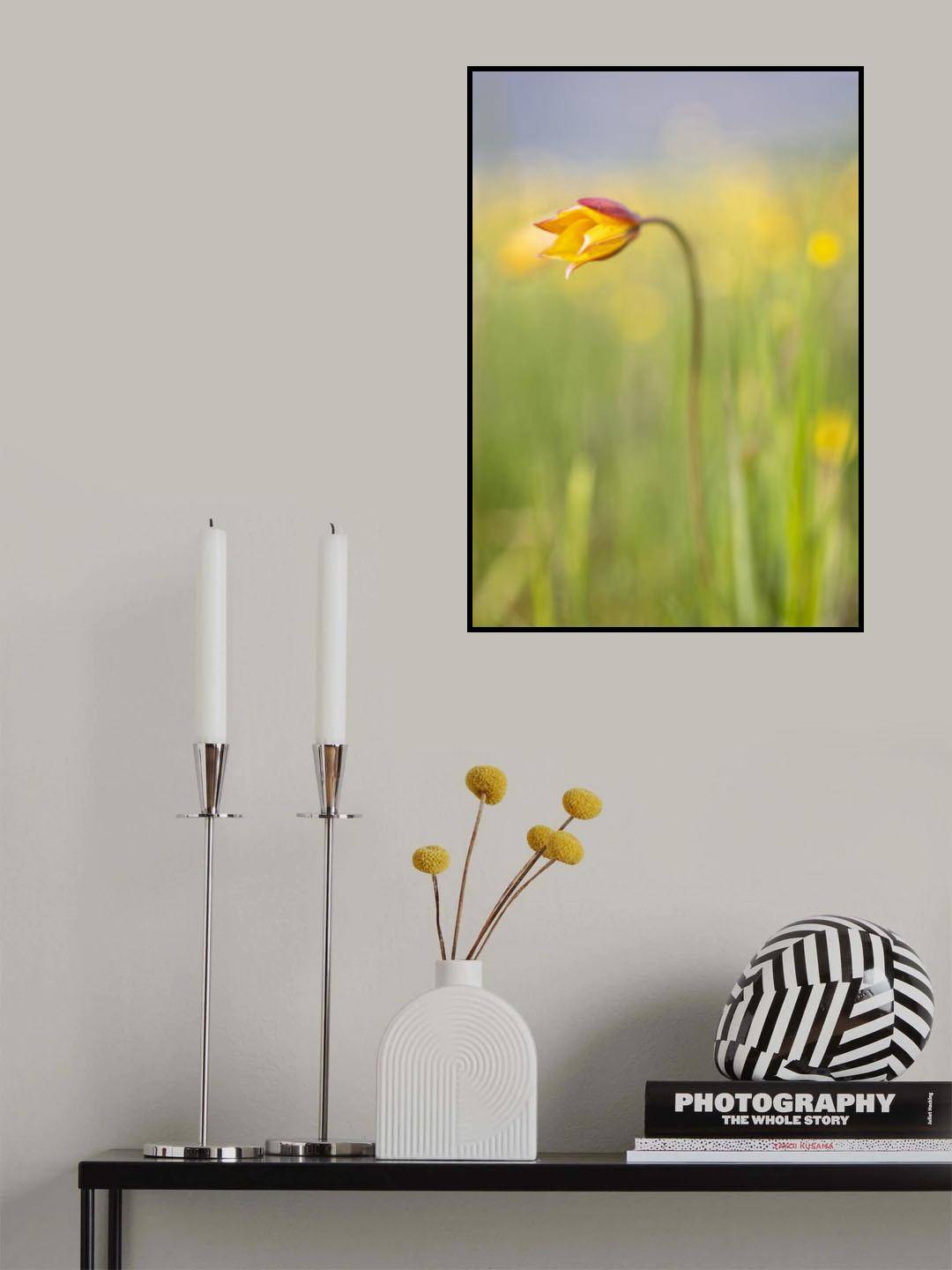 May watercolor Poster och Canvastavla