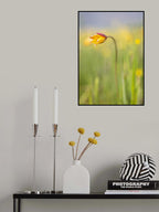 May watercolor Poster och Canvastavla