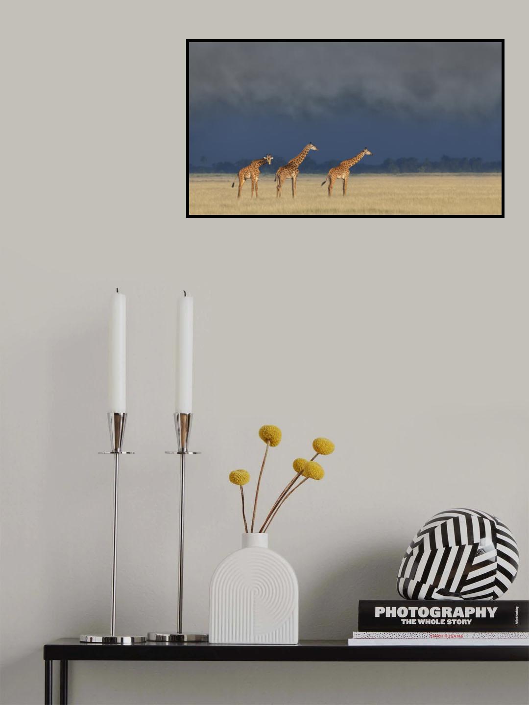 Raining and sunset Poster och Canvastavla