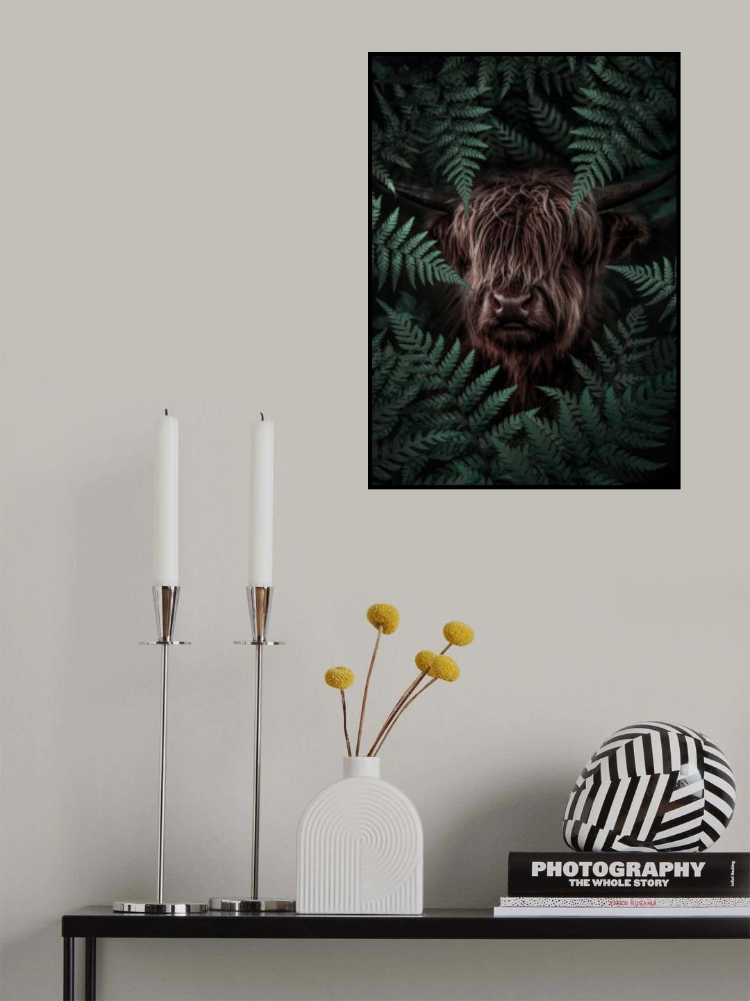 Yak Cow Poster och Canvastavla