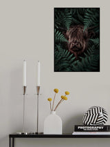 Yak Cow Poster och Canvastavla
