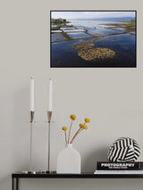 Thousands of ducks herded Poster och Canvastavla