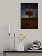 THE BUSH, THE TREE AND THE MILKY WAY Poster och Canvastavla