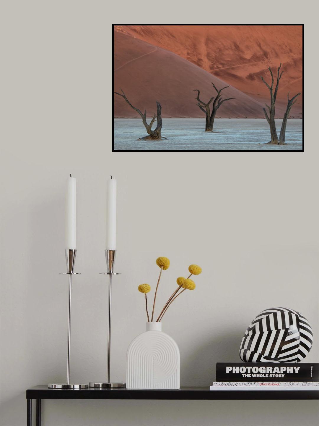 Deadvlei Poster och Canvastavla
