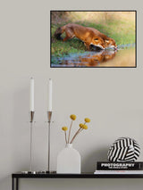 Thirsty Poster och Canvastavla