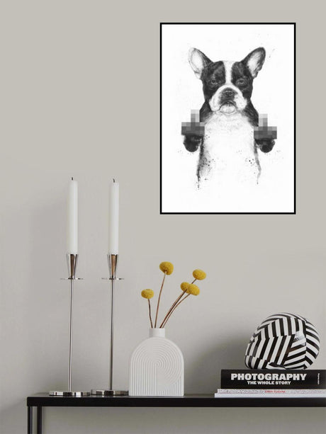 Censored dog Poster och Canvastavla