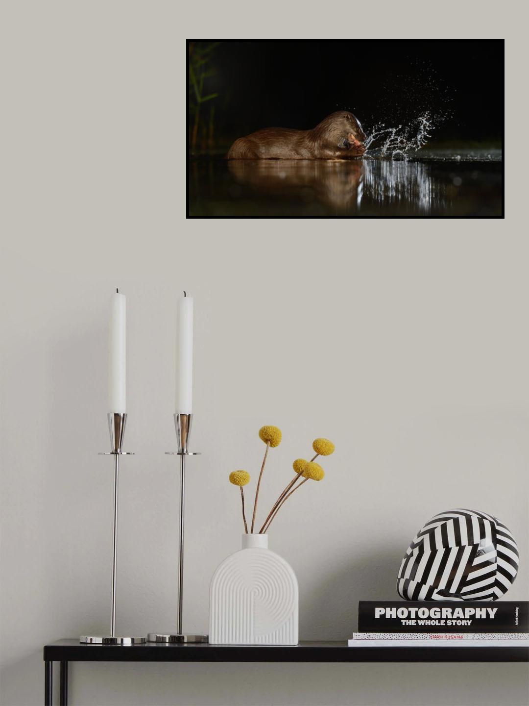 Splach! Poster och Canvastavla