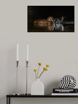 Splach! Poster och Canvastavla