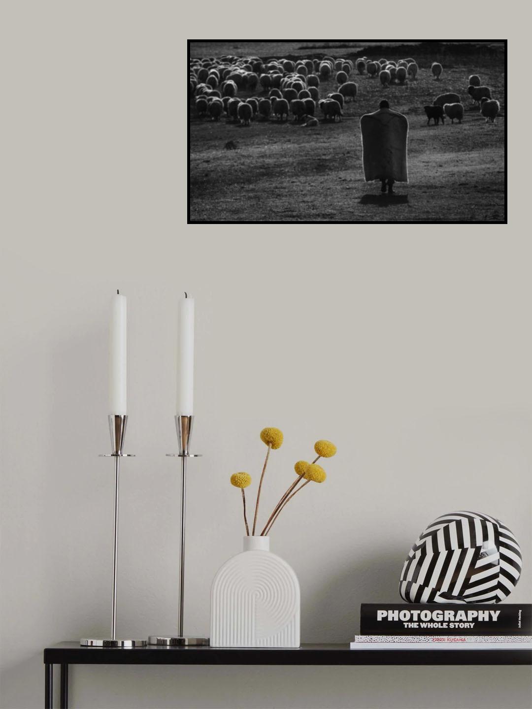 Shepherd Poster och Canvastavla