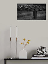 Shepherd Poster och Canvastavla