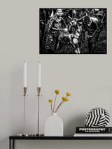 Poster och Canvastavla